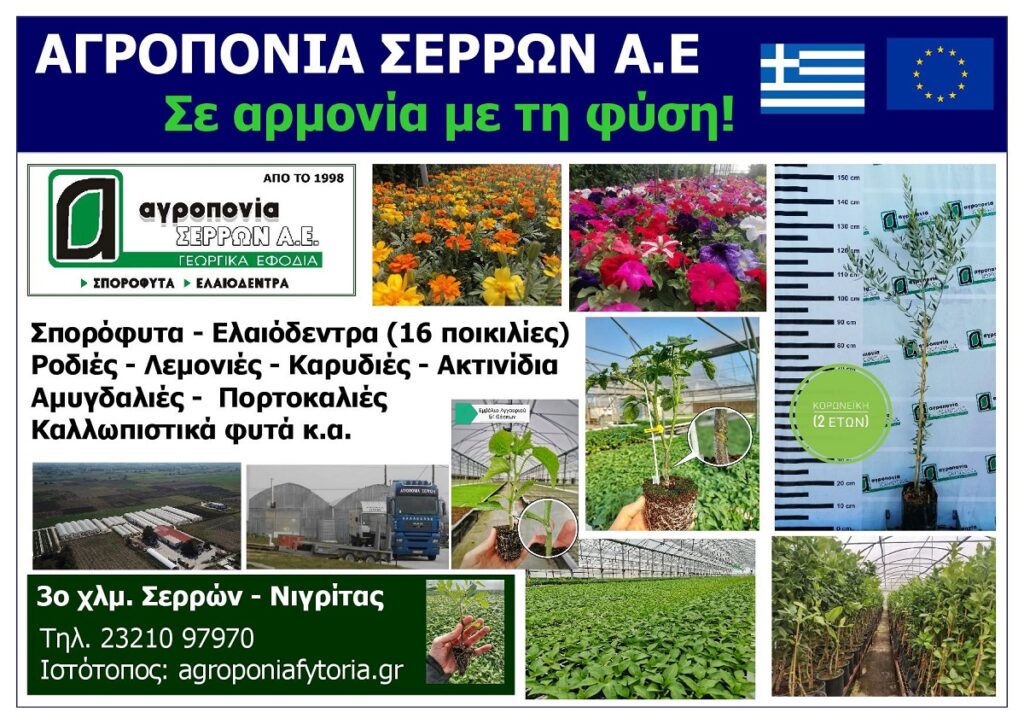 AGROPONIA_SERRON_SA_EKSOFYLLO_IOULIOS_