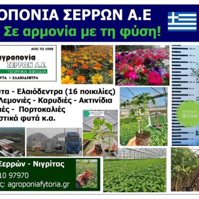 AGROPONIA_SERRON_SA_EKSOFYLLO_IOULIOS_