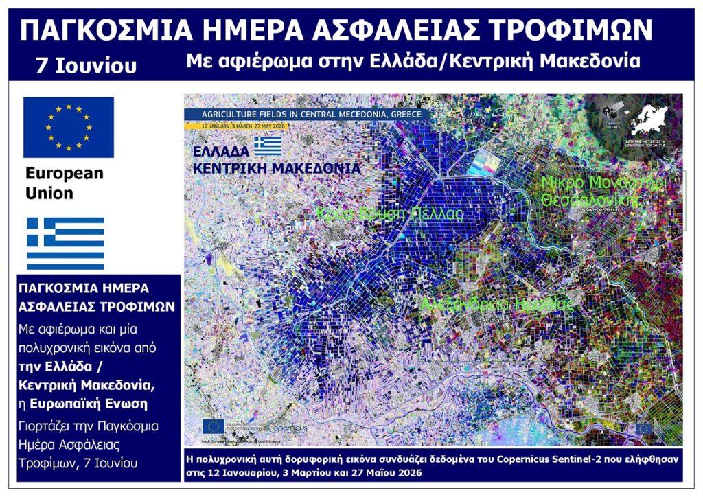 PAGKOSMIA_IMERA_ASFALEIAS_TROFIMON_7_IOUNIOU_2026