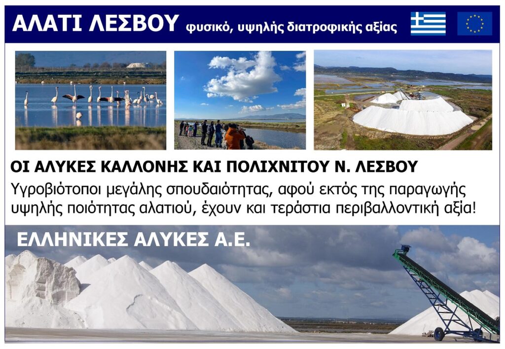 ALATI_LESVOU_ELLINIKES_ALIKES_AE_VOREIO_AIGAIO