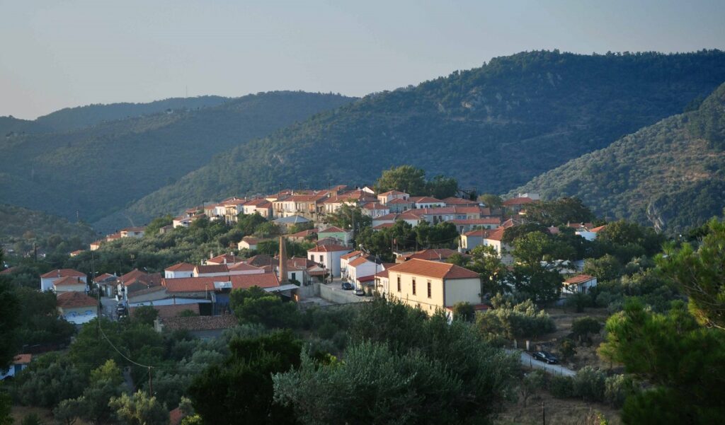 AMPELIKO_PLOMARIOY_DIMOS_MYTILINIS_LESVOS_VOREIO_AIGAIO