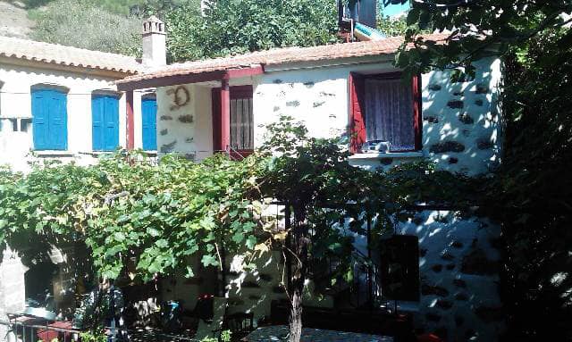 DROTA_PLOMARIOU_DIMOS_MYTILINIS_LESVOS_VOREIO_AIGAIO_GREECE