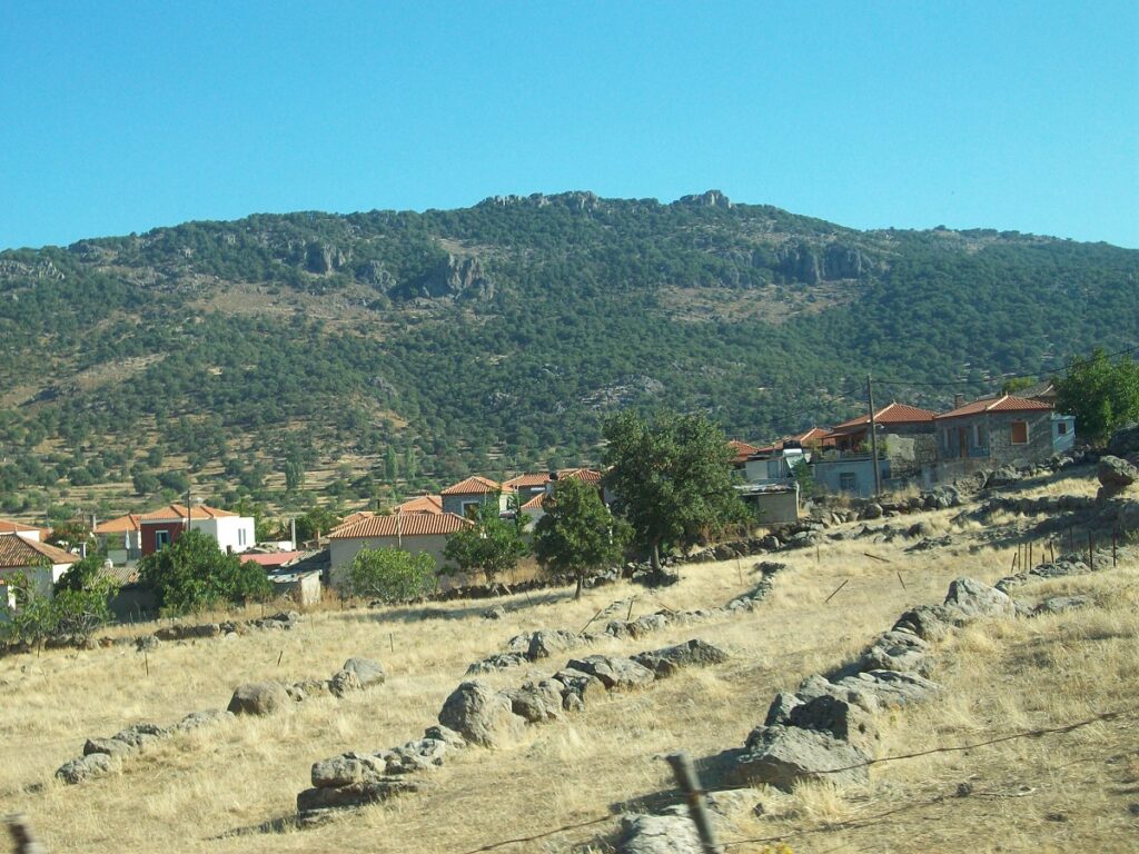 FILIA_KALLONIS_DIMOS_DYTIKIS_LESVOU_VOREIO_AIGAIO