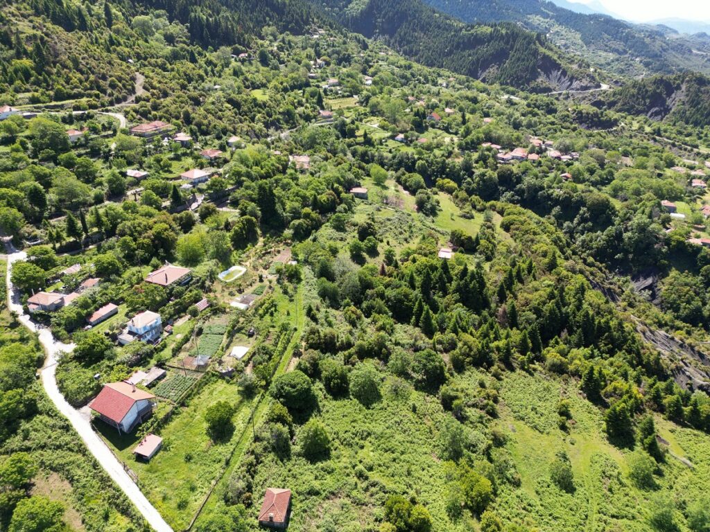 KASTANEA_TETRAFYLIAS_DHMOU_GEORGIOU_KARAISKAKH_NOMOS_ARTAS_EPIRUS_sPYROS_KOTSIALOS_2023