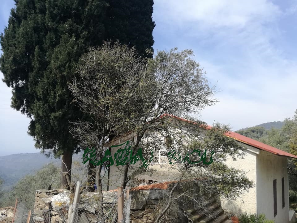 MESOUNA_PLOMARIOU_TO_EKKLISAKI_AGIOU_KONSTANTINOU_STI_MESOUNA_DIMOS_LESVOU_VOREIO_AIGAIO