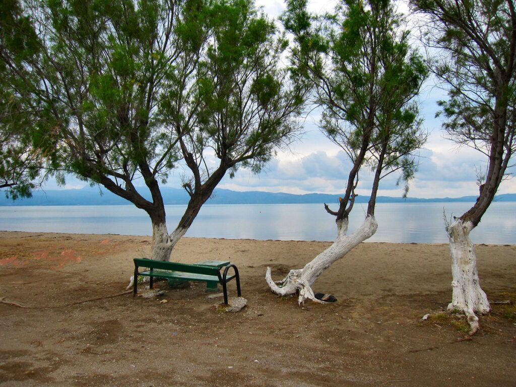 SKALA_KALONNIS_BEACH_DIMOS_DYTIKIS_LESVOU_VOREIO_AIGAIO