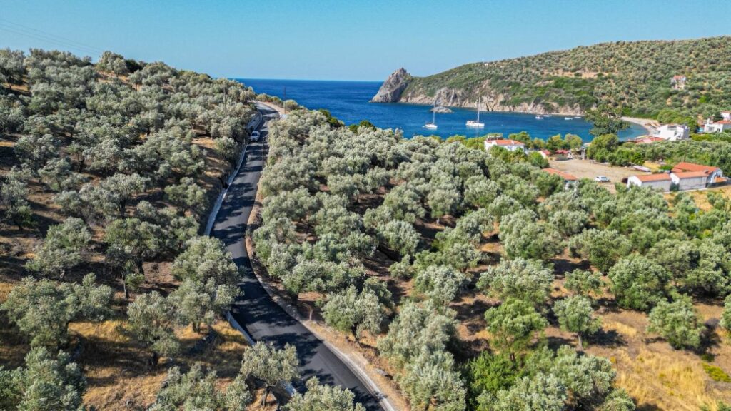 TARTI_SKOPELOU_GERAS_DHMOS_MYTILHNHS_LESVOS_VOREIO_AIGAIO