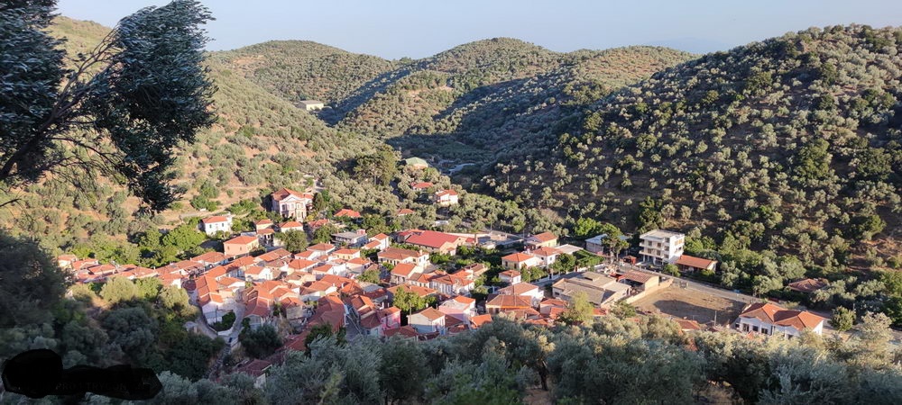TRYGONAS_PLOMARIOU_DIMOS_MYTILINIS_LESVOS_VRES_LESVOS_VOREIO_AIGAIO