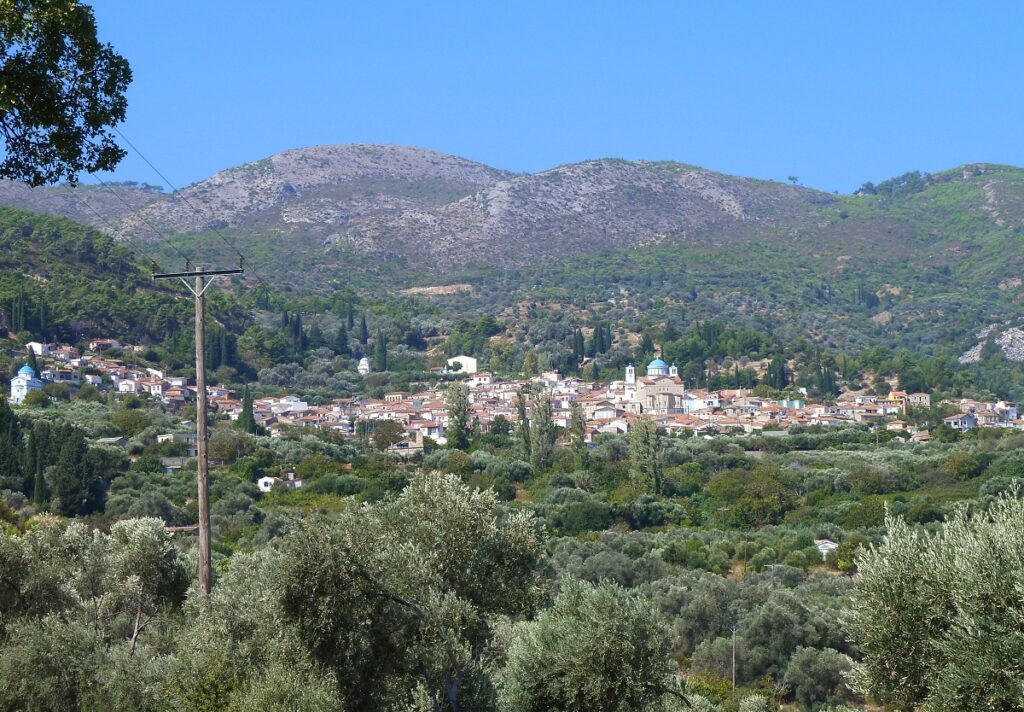 PAGONDAS_PYTHAGOREIOU__DIMOS_ANATOLIKIS_SAMOU