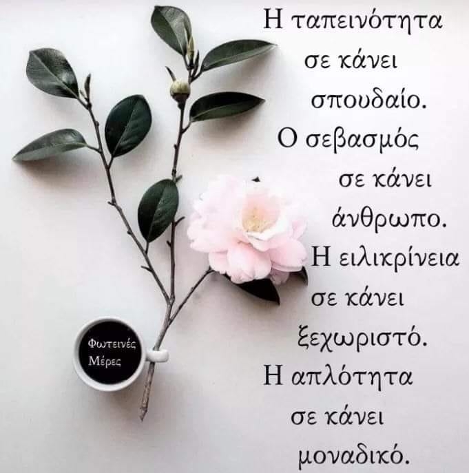 CHRISTOS_FYLACHTOS_VIVLIO_FOTEINE_MERES